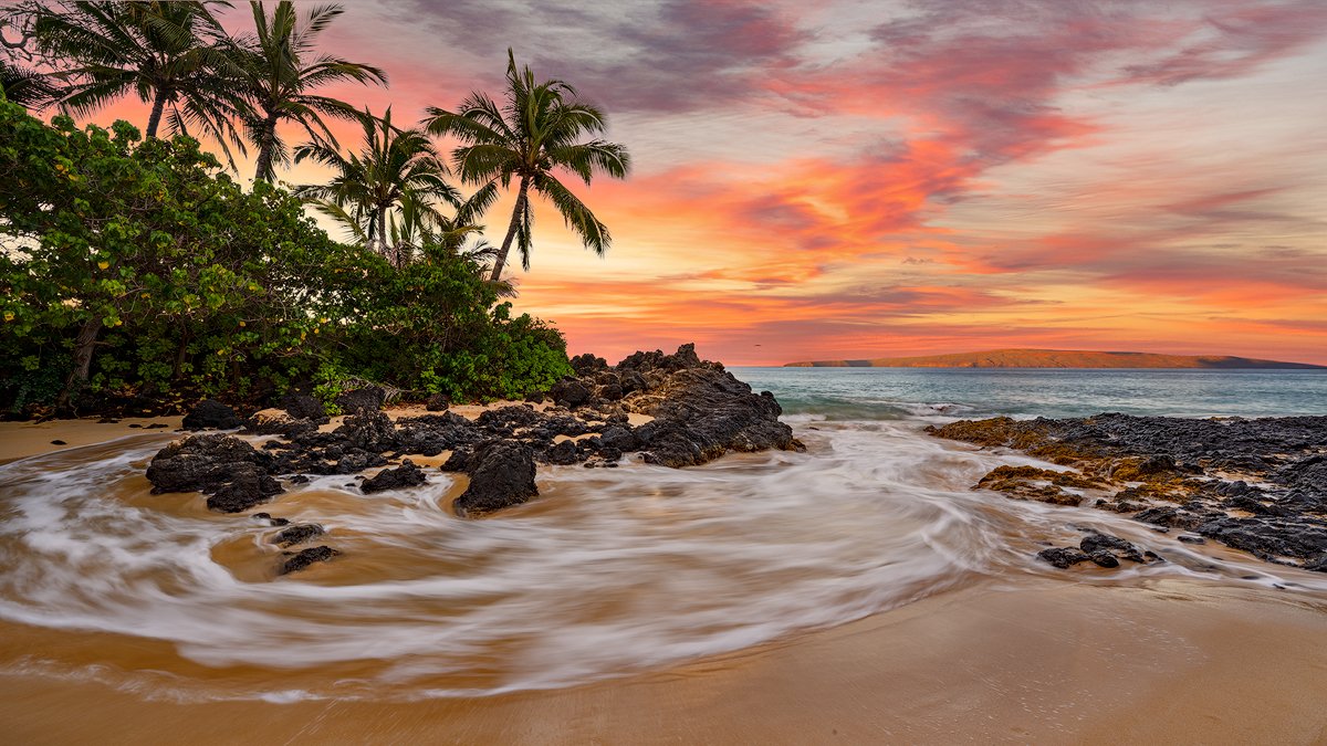 🏖️ 미치카와 해수욕장(미치카와카이스이요쿠조) 이미지 4